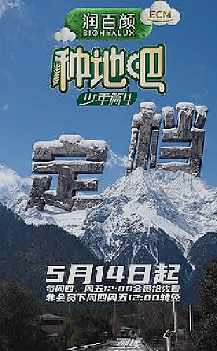 去海边开间店影视海报